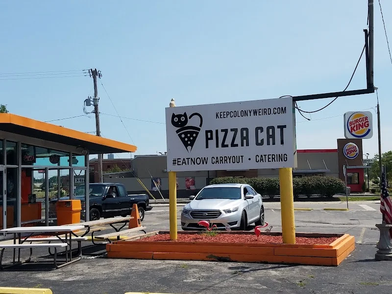 Pizza Cat